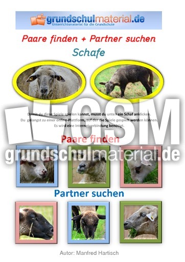 Paare finden und Partner suchen_Schafe.pdf